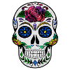Cosmic Skull