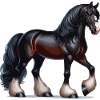Pecheron horse black 2