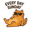 Lszy cat