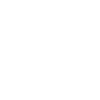 Lane