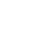 Lane