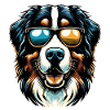 Bernese Mountain Dog with Sunglasses