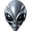 Real Grey Alien Extraterrestrial Face