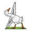 Duck Yoga Fitness Gymnastics