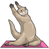 Otter Yoga Fitness Gymnastics