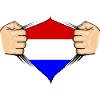 Holland Flag Design