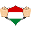 Hungary Flag Design