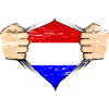 Holland flag design used