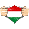Drapeau de la Hongrie utilisé
