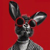 Bunny with sunglasses against red background