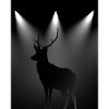 A Deer in Spotlights