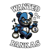 Wanted Bear