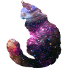 Space cat