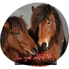 Horses Love