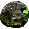 Amis pêcheurs