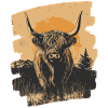 Scottish Highland cattle