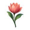 Beautiful flower