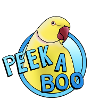 yellow collared parakeet "Peek-a-boo"