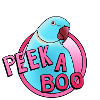 blauer Halsbandsittich „Peek-a-boo“