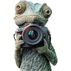 Chamäleon