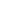 Lane