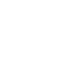Bull Head Taurus