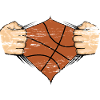 Basketball Design used
