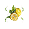 Limoncello La Dolce Vita