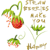 Strawberries Erdbeeren