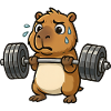 Entraînement drôle d’haltères Capybara Capybara