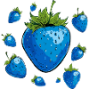 blaue erdbeeren,erdbeere,blaue erdbeere,illu