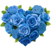 Blue Roses,Blue Rose,Heart,Flower Heart