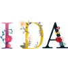 Ida