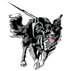 Border Collie Running