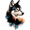 Husky Alaska Dog Hund Schlittenhund