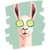 Llama Alpaca Beauty Selfcare Mask