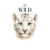 Baby Tiger 02