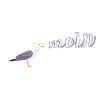 Norddeutsch Möwe Moin Design