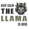 Tactical Llama – Keep Calm Style