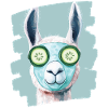 Llama Alpaca Beauty Selfcare Mask
