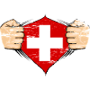 Drapeau suisse utilisé