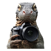 Komodowaran