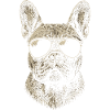 French Bulldog Illustration Sunglasses