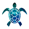 Cosmic Turtle