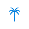 Palm