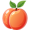 Pêche Pêche Fruit Fruit Dessin