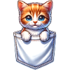 Chat dans une poche