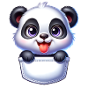 Panda in a Pocket