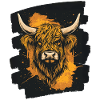Scottish Highland cattle