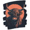 Scottish Highland cattle